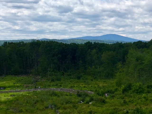 550 NW Road, Unit 15 Canterbury, NH 03224 - Photo 15 of 17