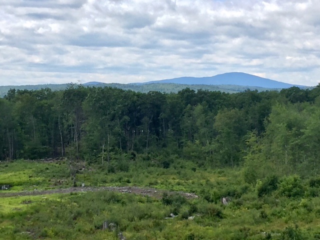 550 NW Road, Unit 15 Canterbury, NH 03224 - Photo 3 of 17