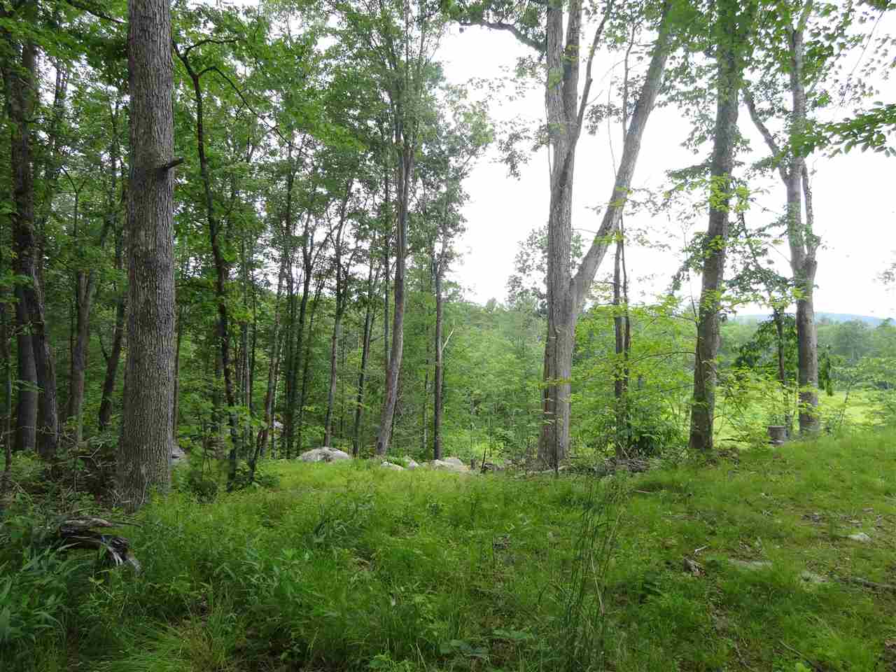 550 NW Road, Unit 15 Canterbury, NH 03224 - Photo 6 of 17