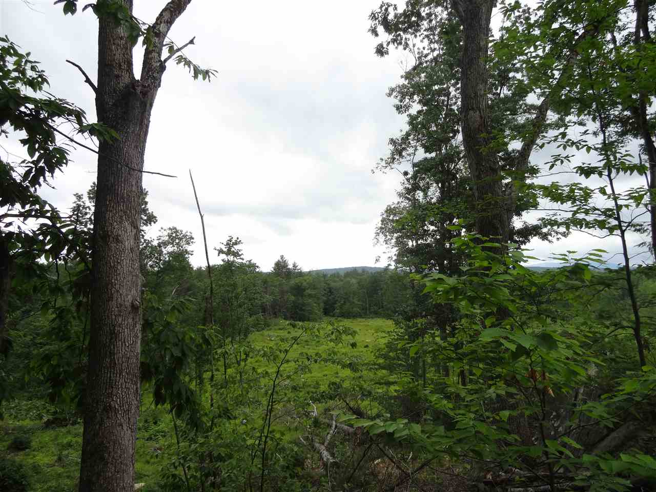550 NW Road, Unit 15 Canterbury, NH 03224 - Photo 8 of 17