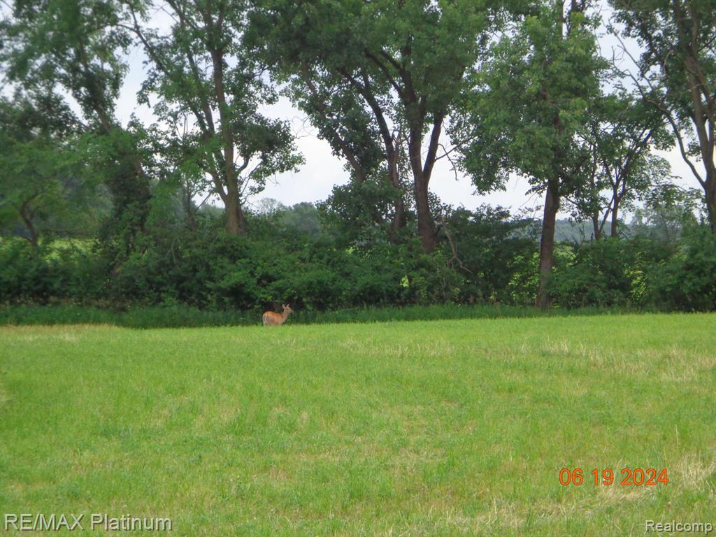Vl Dwyer Road Howell, MI 48855 - Photo 1 of 7