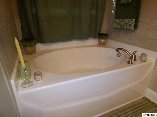 125 Princess Loop Troutman, NC 28166 - Photo 12 of 16 Gallery Image 12