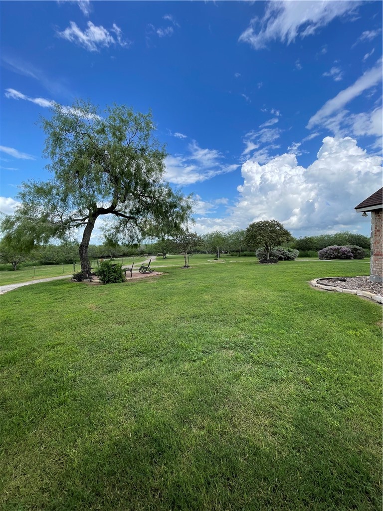 5937 Hidden Valley Loop Sandia, TX 78383 - Photo 5 of 28 Frontyard