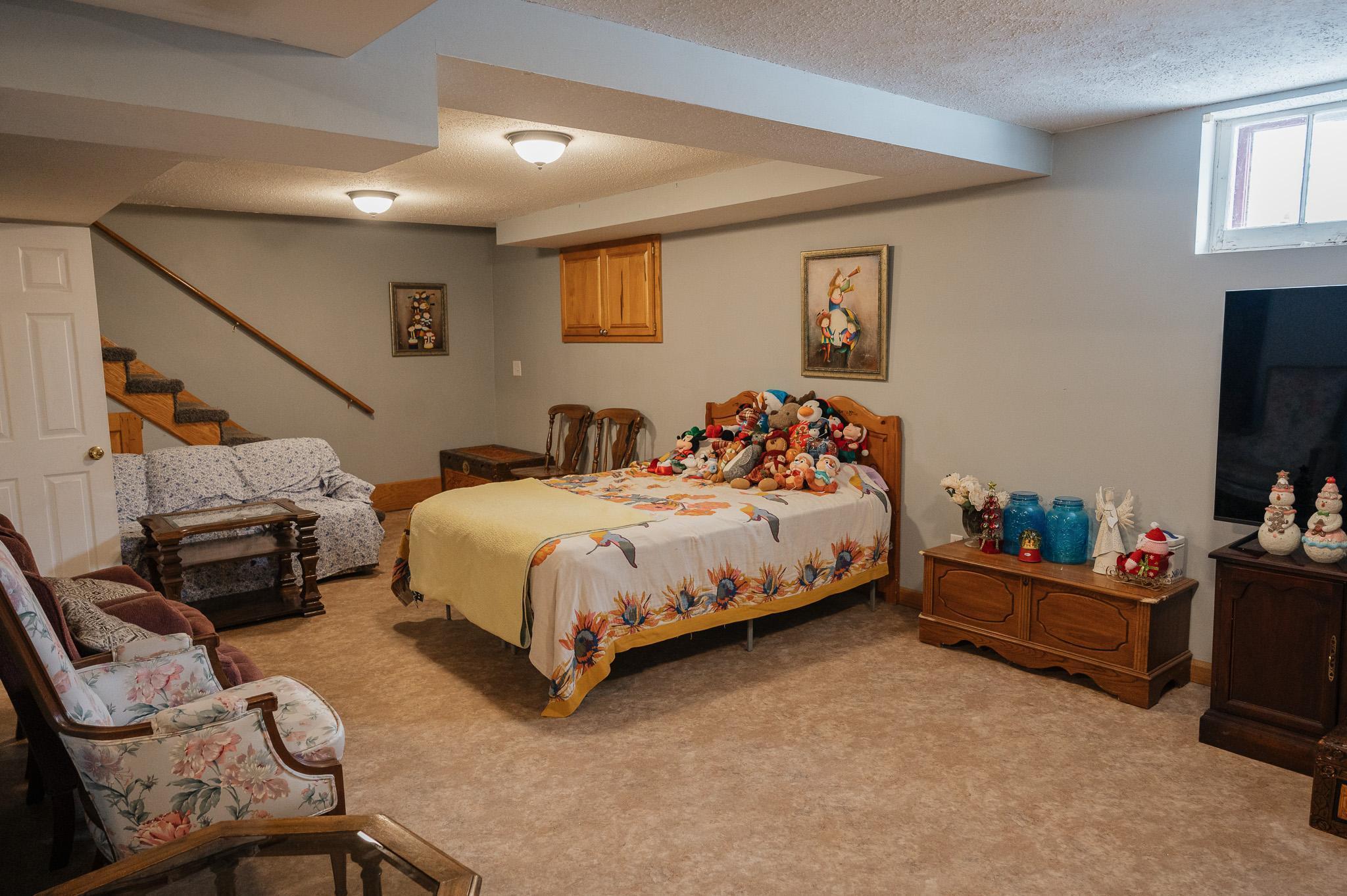 226 South Linton Street Blue Earth, MN 56013 - Photo 39 of 59