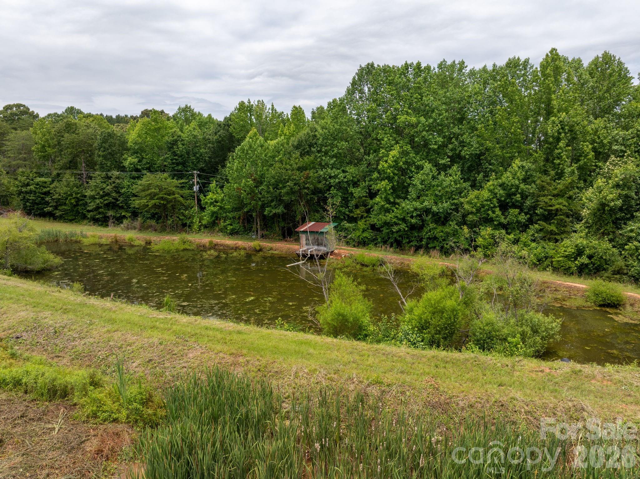 1350 Lee Cudd Road Rutherfordton, NC 28139 - Photo 12 of 38
