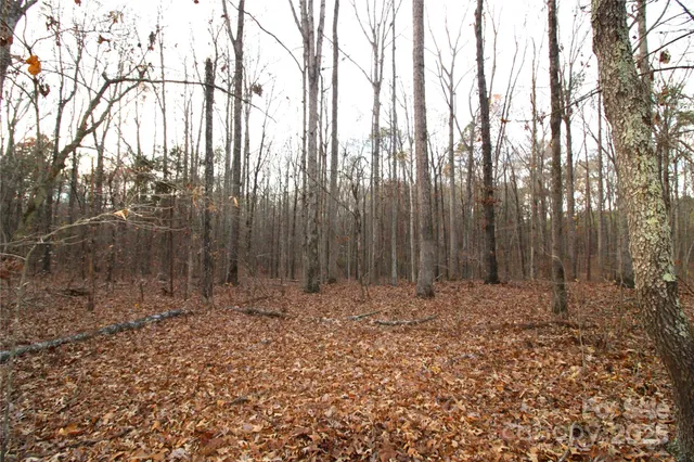 a view of wooden fence with trees in the background