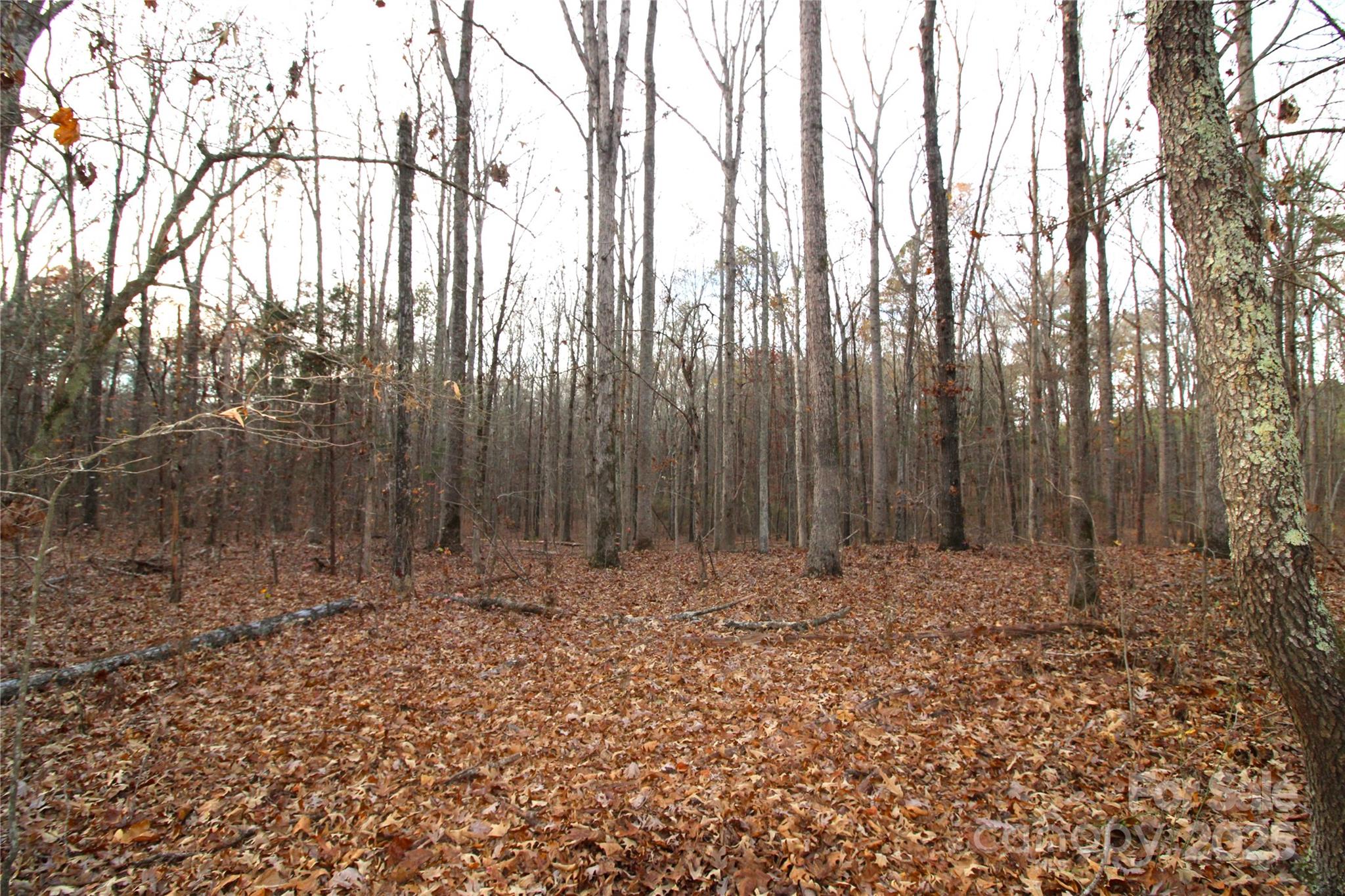 3-ac Pioneer Road York, SC 29745 - Photo 2 of 9 a view of wooden fence with trees in the background