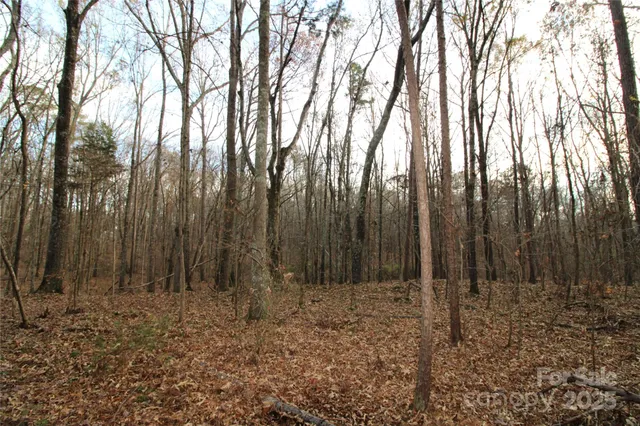 a view of outdoor space with lots of trees