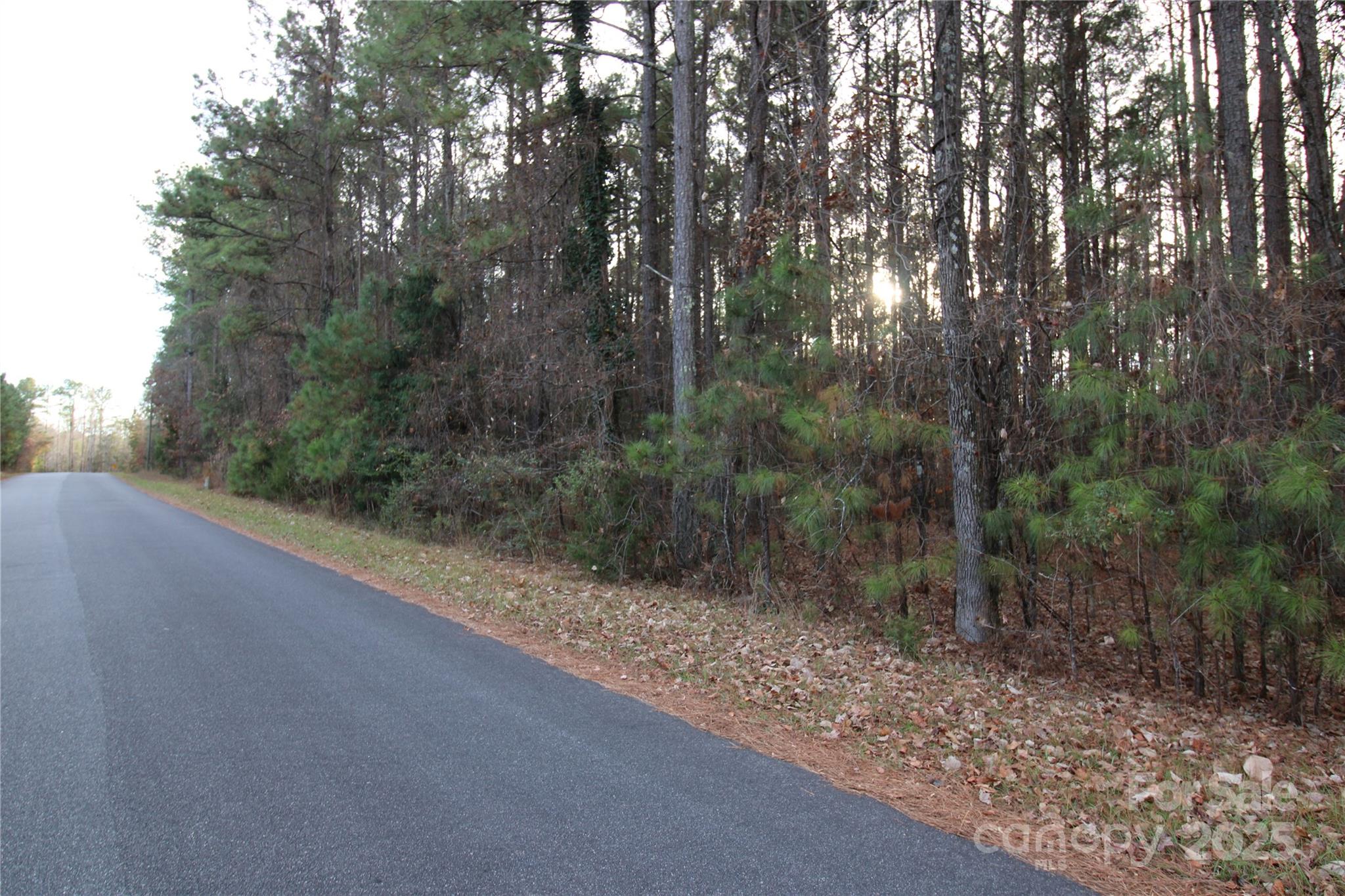 3-ac Pioneer Road York, SC 29745 - Photo 8 of 9 a view of a forest with trees in front of it