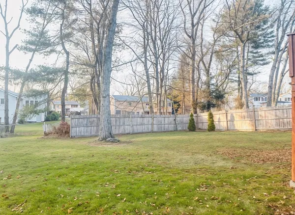 a view of a big yard with trees