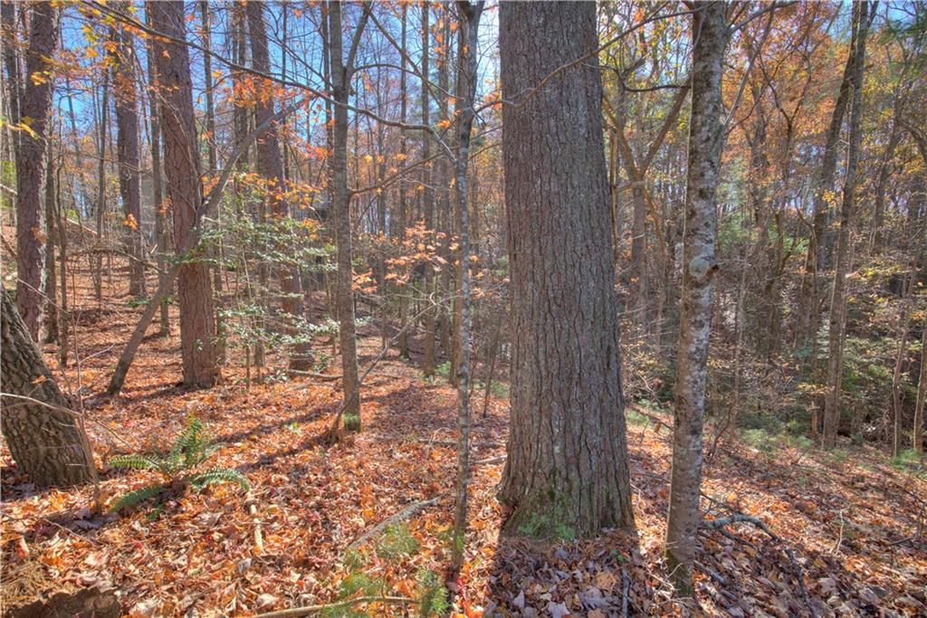 807 Choctaw Pass Big Canoe, GA 30143 - Photo 3 of 6