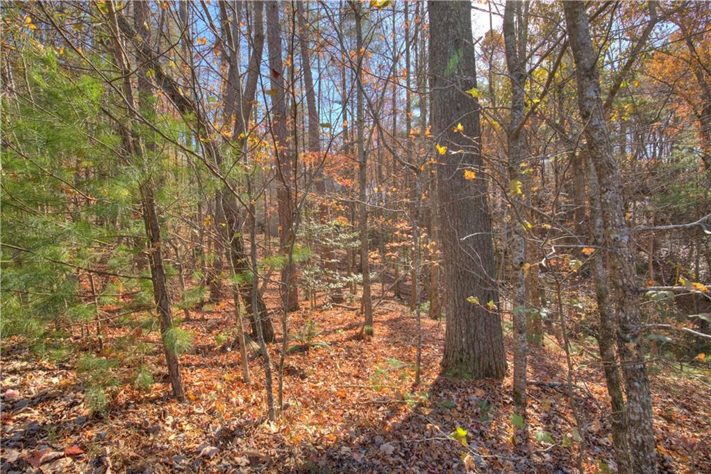 807 Choctaw Pass Big Canoe, GA 30143 - Photo 4 of 6