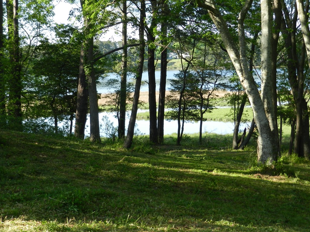 Lot1 Miles Wharf Road, Unit 1 Exmore, VA 23350 - Photo 13 of 33