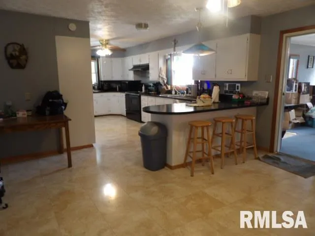 $200,000 | 736 North Mill Street, Carrier Mills, IL 62917