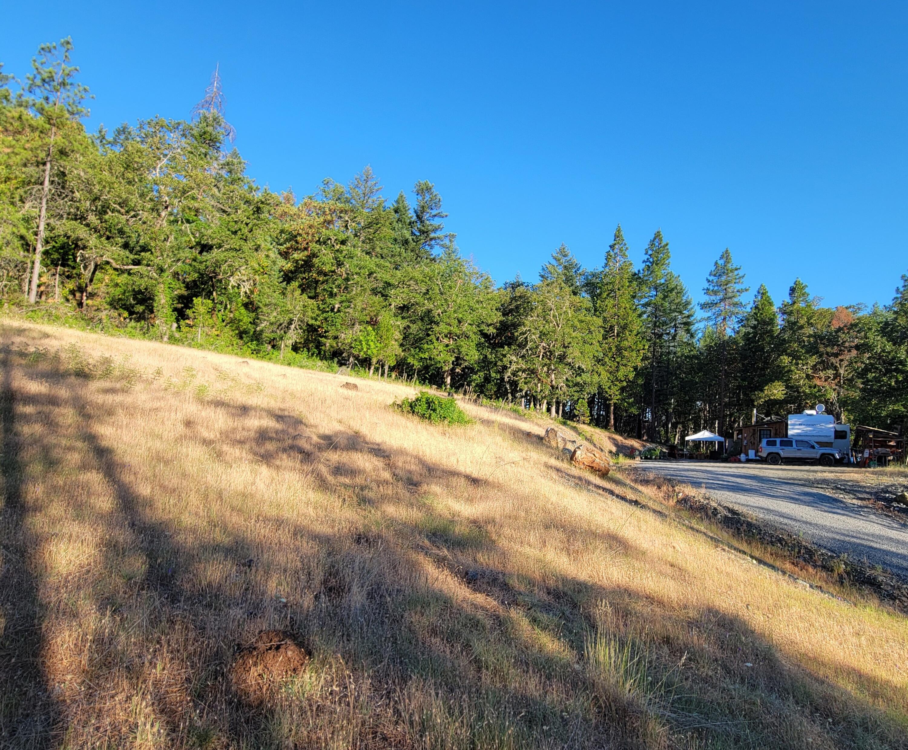 1021 Greenview Road Cave Junction, OR 97523 - Photo 16 of 27 24- top meadow
