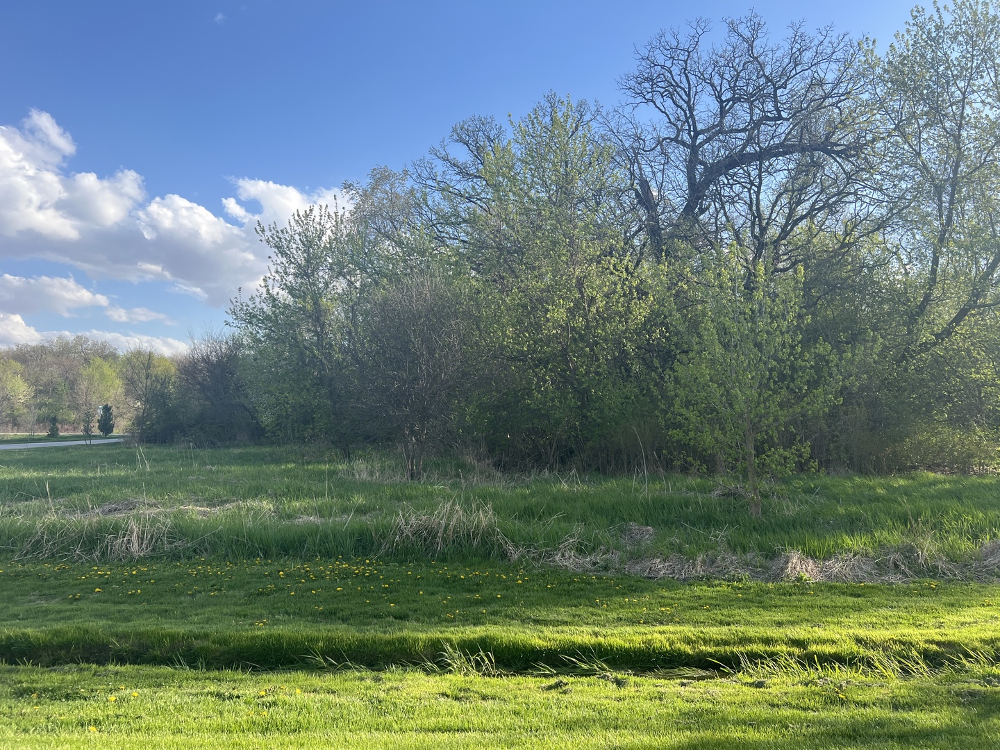 a view of a grassy field