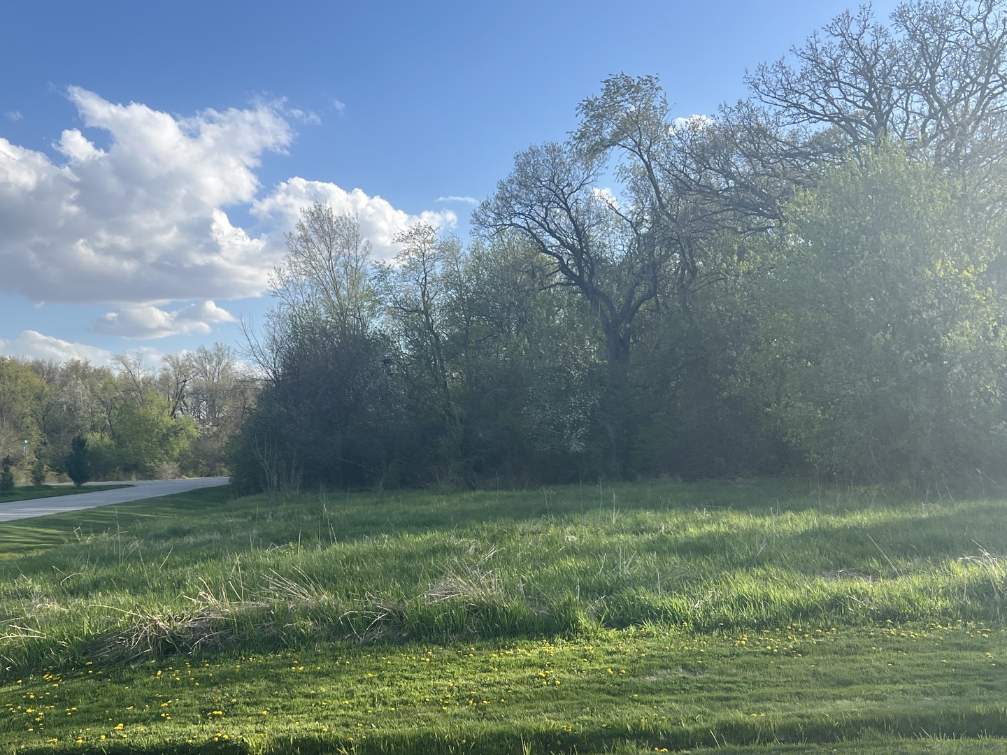 10909 Pebble Drive Huntley, IL 60142 - Photo 4 of 8 a view of a big yard