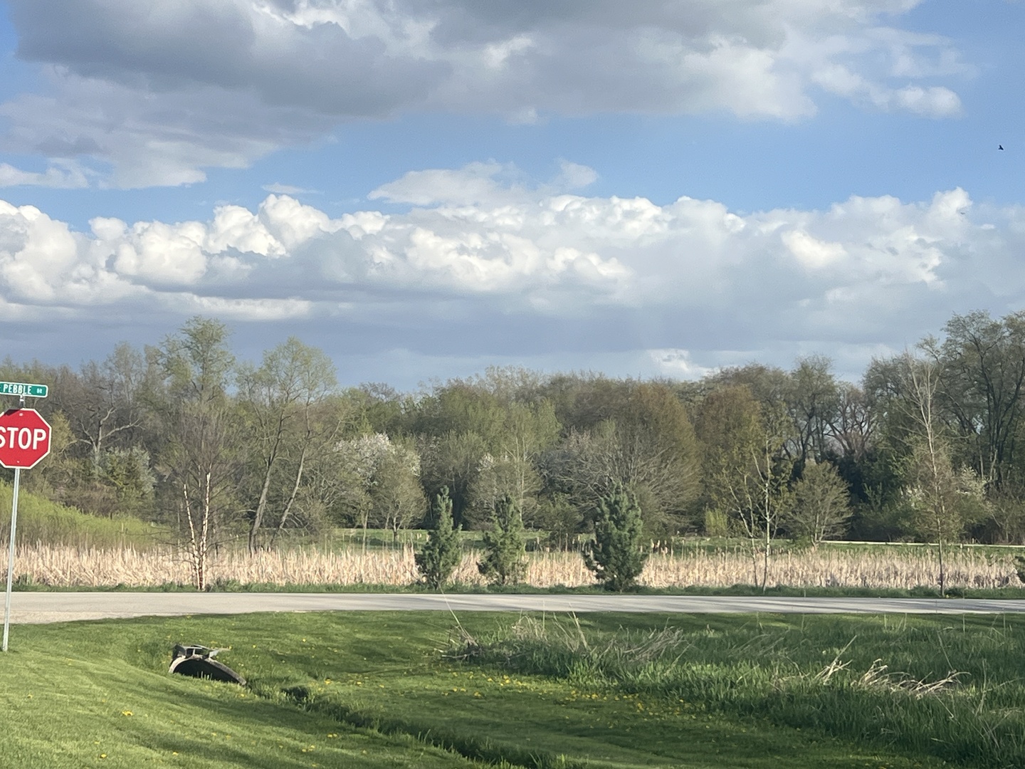 10909 Pebble Drive Huntley, IL 60142 - Photo 7 of 8 a view of grassy field with mountain