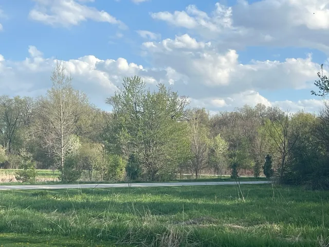 a grassy field with trees in the background