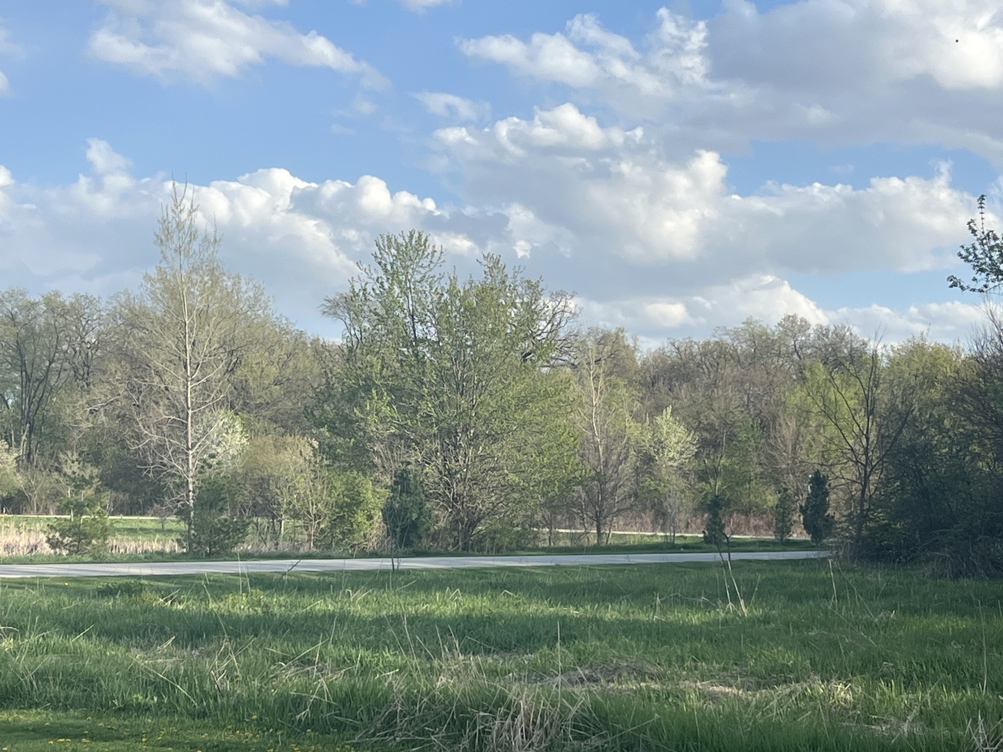 10909 Pebble Drive Huntley, IL 60142 - Photo 8 of 8 a grassy field with trees in the background