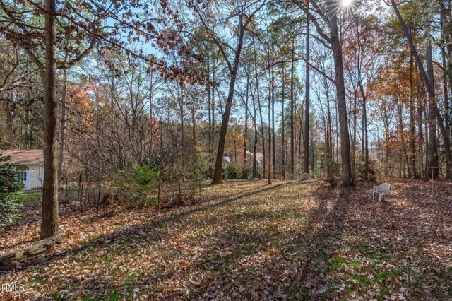 a view of a yard with plants and trees