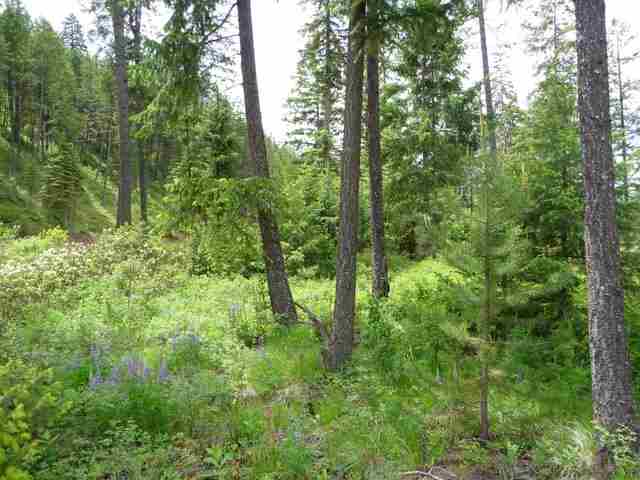 1736 Zimmer Road Addy, WA 99101 - Photo 5 of 9