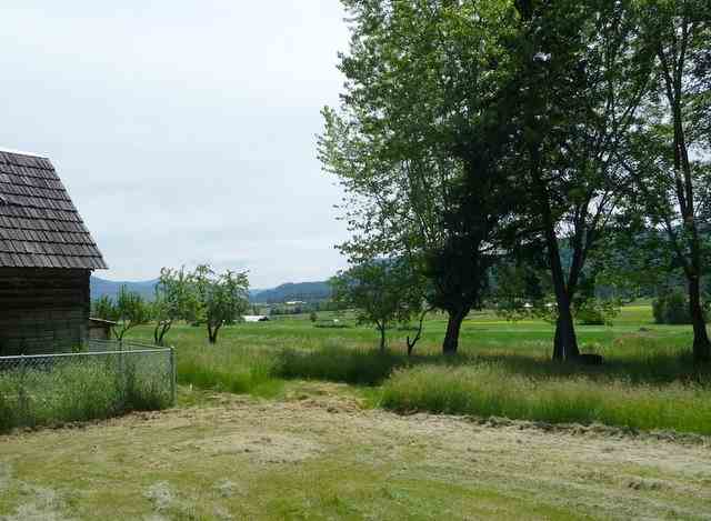 1736 Zimmer Road Addy, WA 99101 - Photo 6 of 9