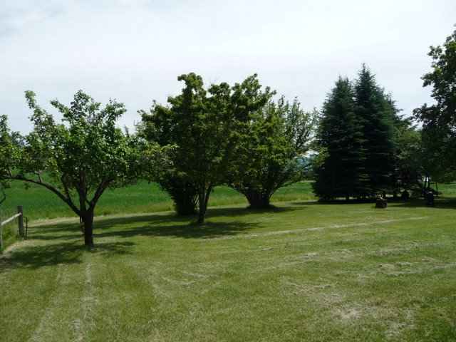 1736 Zimmer Road Addy, WA 99101 - Photo 8 of 9