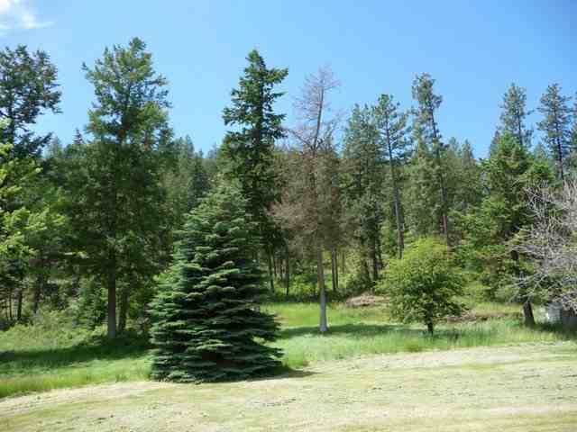 1736 Zimmer Road Addy, WA 99101 - Photo 9 of 9