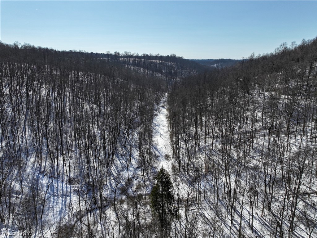 0 Tract 4 Twp Road Woodsfield, OH 43793 - Photo 13 of 34