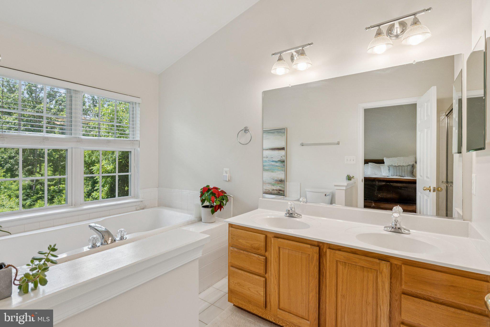 856 Stonehurst Drive Annapolis, MD 21409 - Photo 17 of 31 a bathroom with a tub sink and mirror