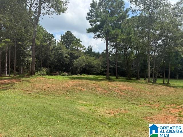 580 Idalia Road Talladega, AL 35160 - Photo 2 of 47