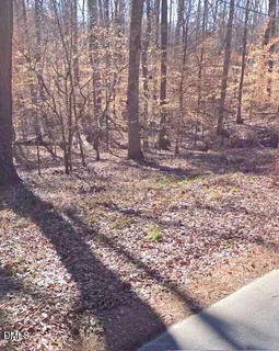 a view of a yard with trees
