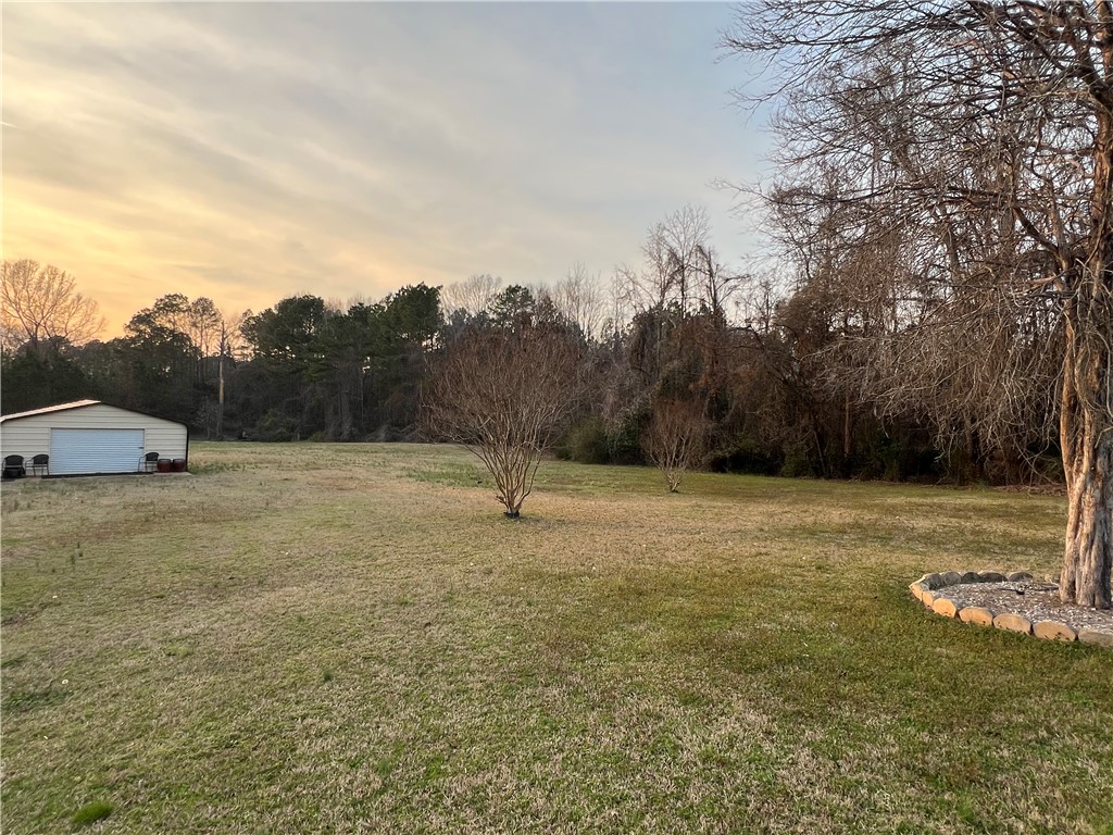 521 Calhoun Shores Parkway Calhoun Falls, SC 29628 - Photo 28 of 39 Expansive green yard with mature trees offers a serene natural setting.
