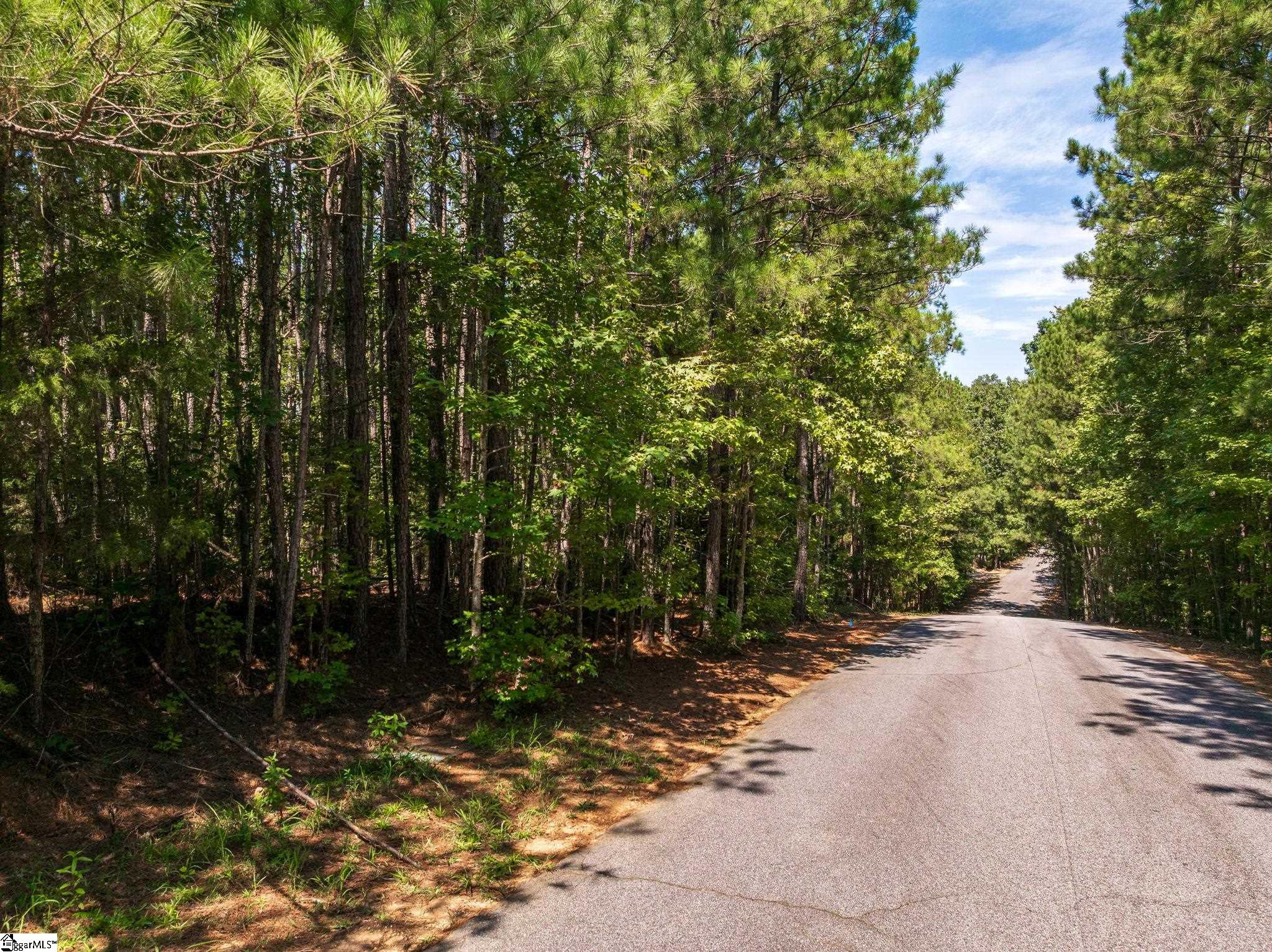 0 Hidden Springs Way Cross Hill, SC 29332 - Photo 2 of 16