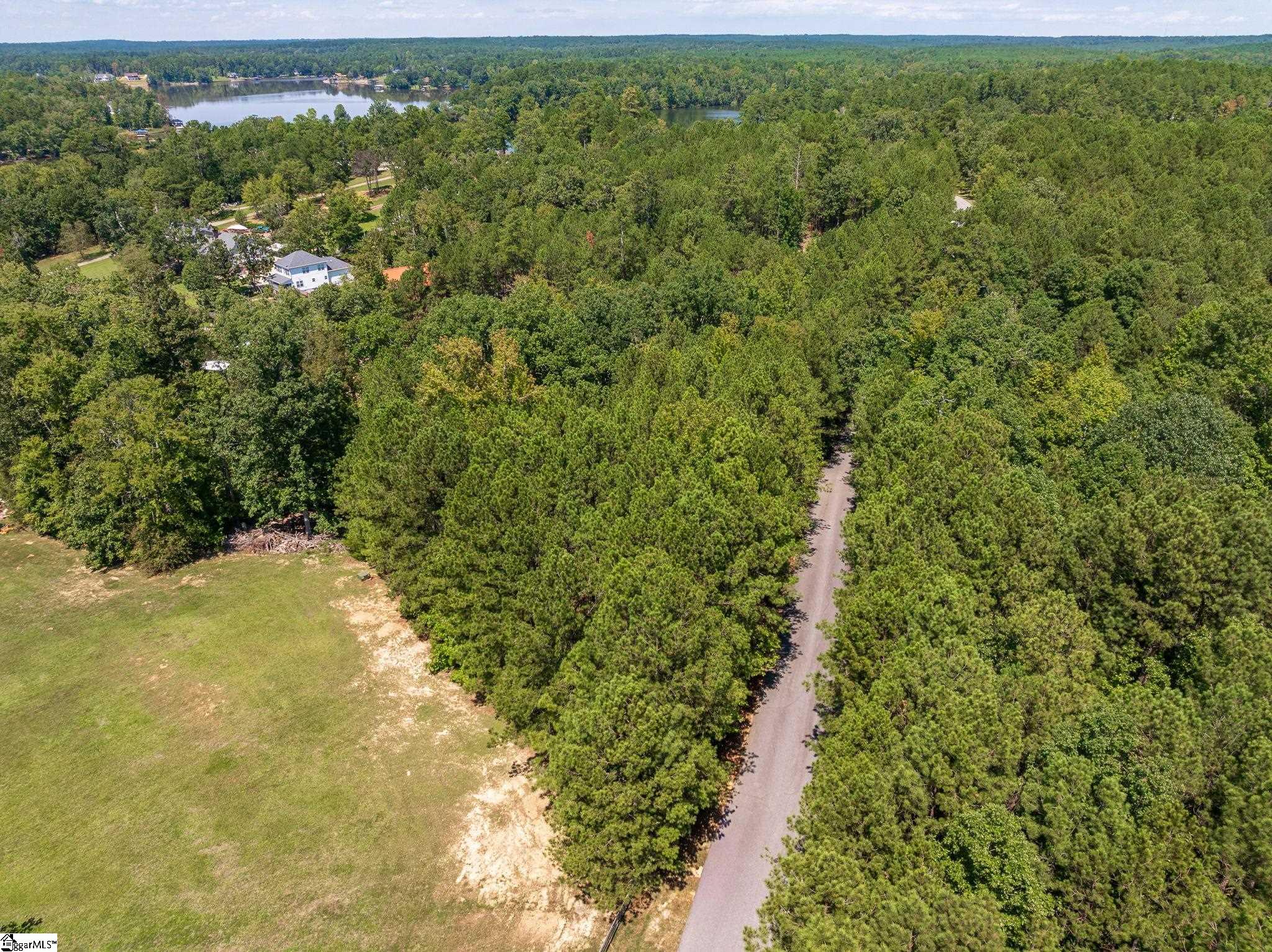 0 Hidden Springs Way Cross Hill, SC 29332 - Photo 3 of 16