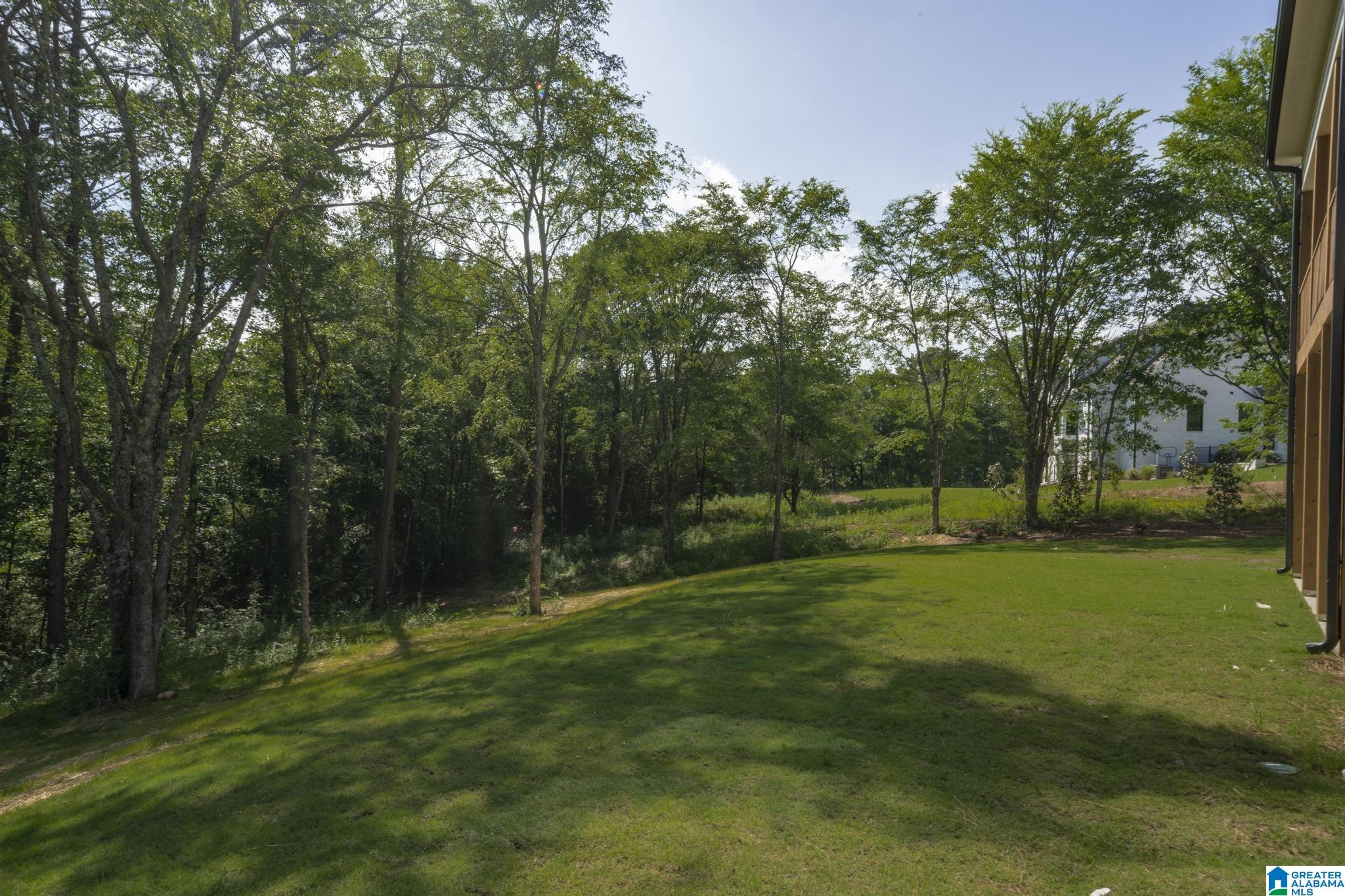 6558 Deerfoot Crossing Road Trussville, AL 35173 - Photo 54 of 59