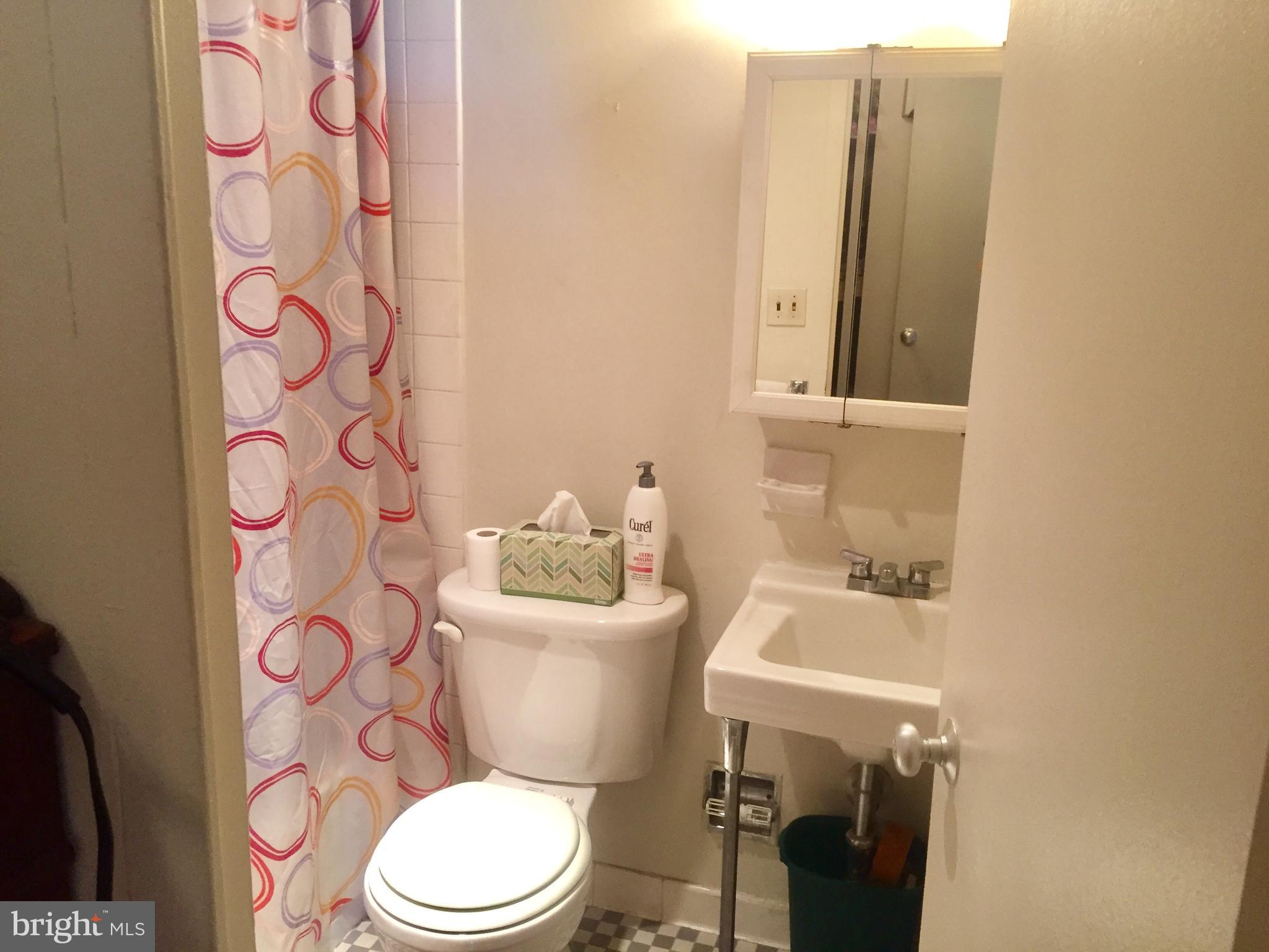 210 Locust Street, Unit 18DEW Philadelphia, PA 19106 - Photo 13 of 20 18E bathroom
