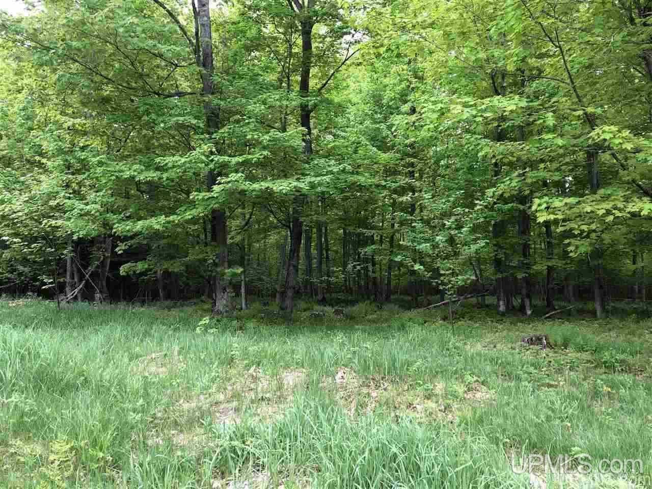 Tbd Will Pryor Road Big Bay, MI 49808 - Photo 15 of 18