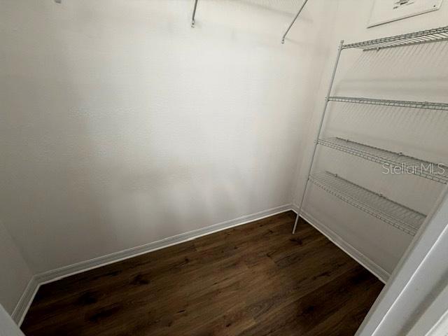 8162 Serenity Spring Drive Windermere, FL 34786 - Photo 11 of 29