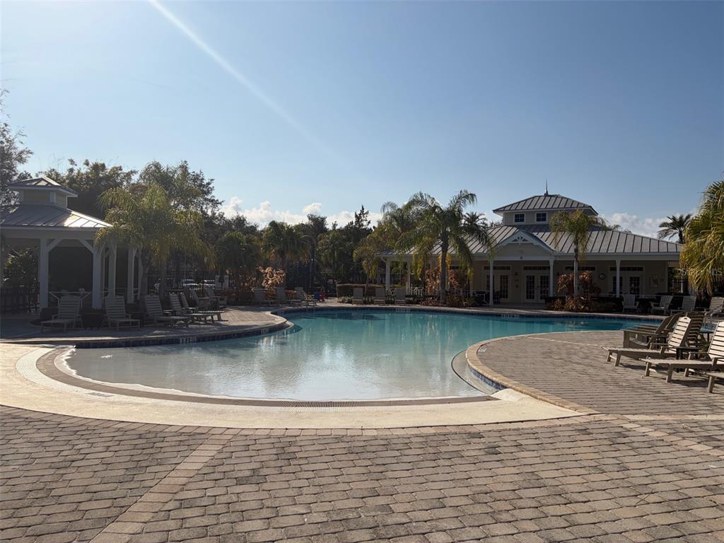 8162 Serenity Spring Drive Windermere, FL 34786 - Photo 19 of 29