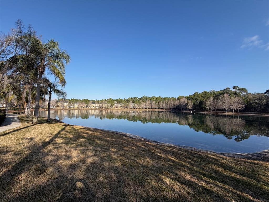 8162 Serenity Spring Drive Windermere, FL 34786 - Photo 22 of 29