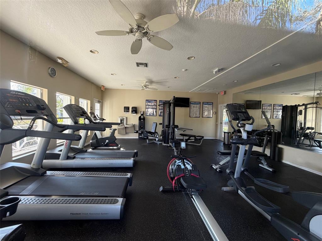 8162 Serenity Spring Drive Windermere, FL 34786 - Photo 25 of 29