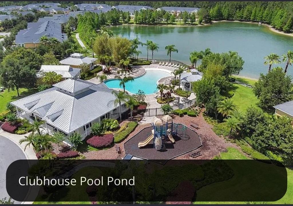 8162 Serenity Spring Drive Windermere, FL 34786 - Photo 28 of 29