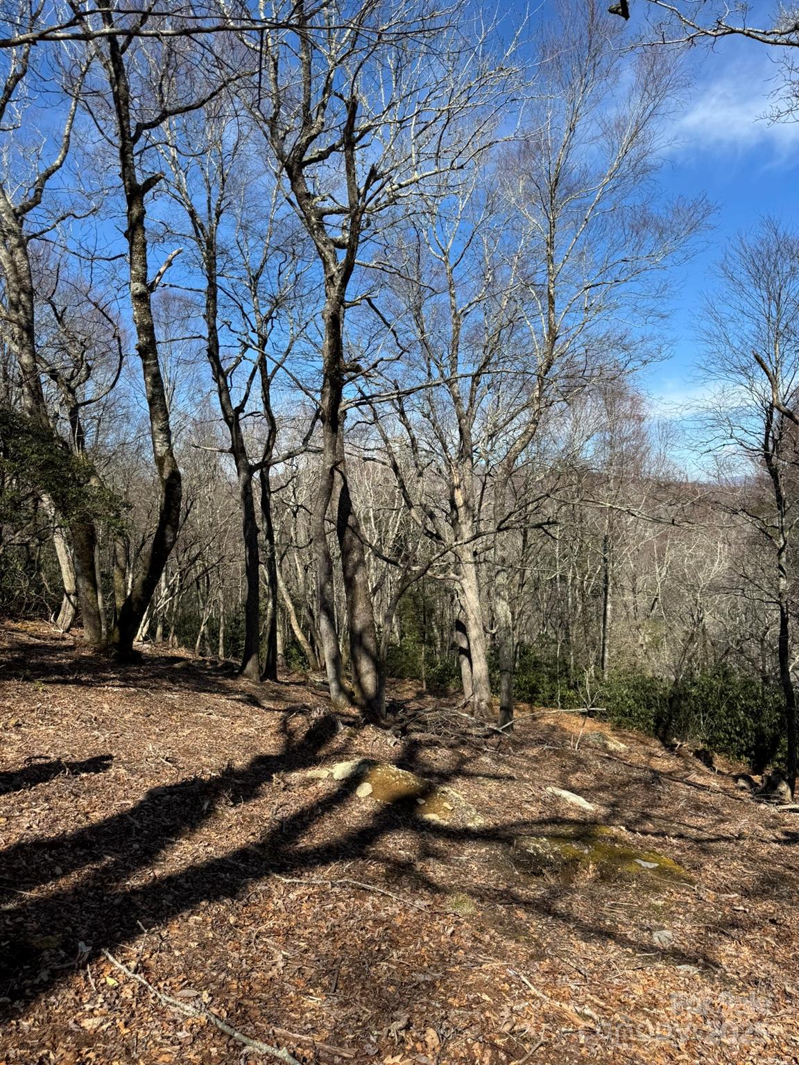 Lot 240 Thunder Wood Trail, Unit 240 Blowing Rock, NC 28605 - Photo 11 of 14 a view of a yard with trees