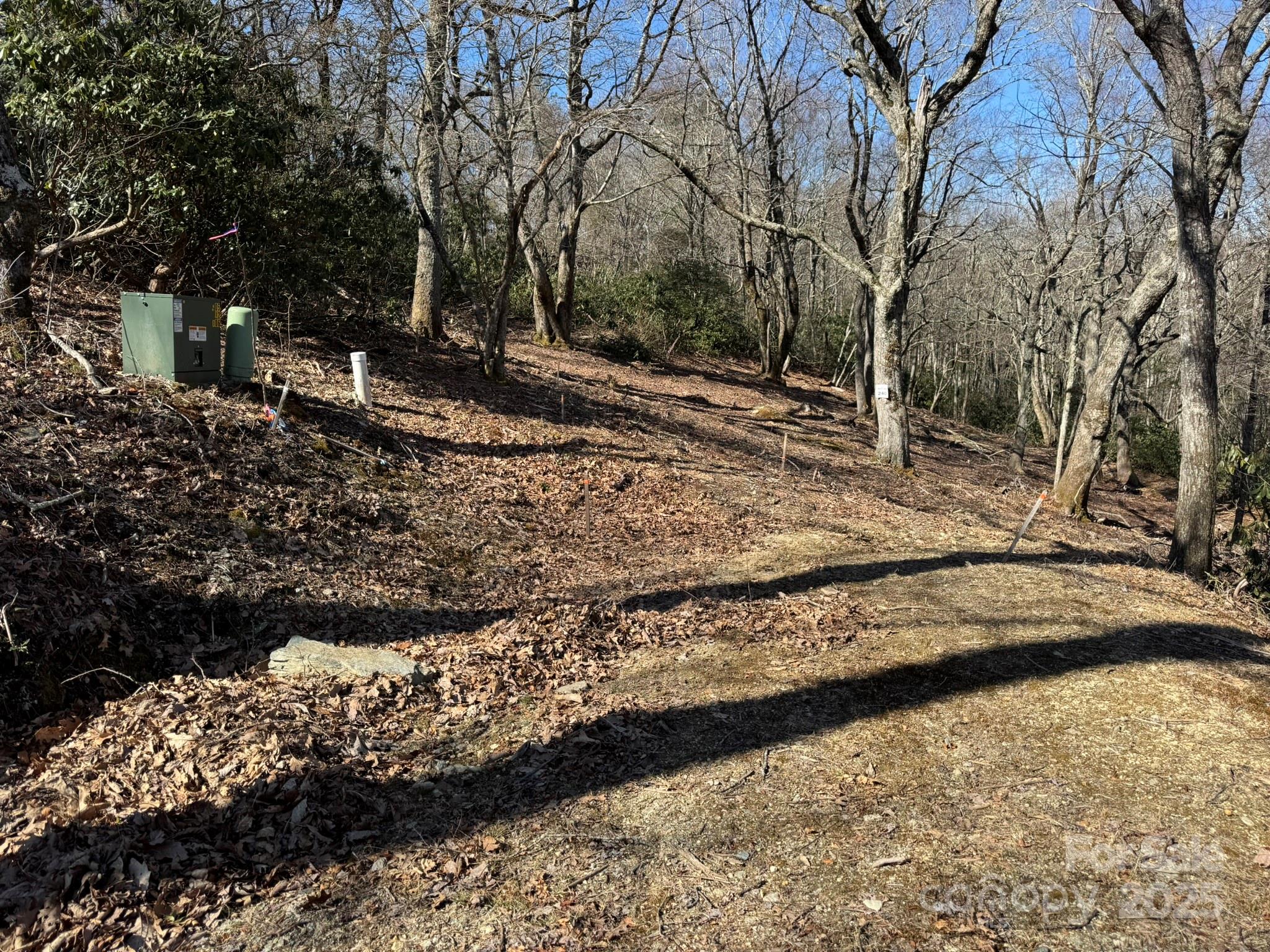 Lot 240 Thunder Wood Trail, Unit 240 Blowing Rock, NC 28605 - Photo 2 of 14 a view of a yard with wooden fence