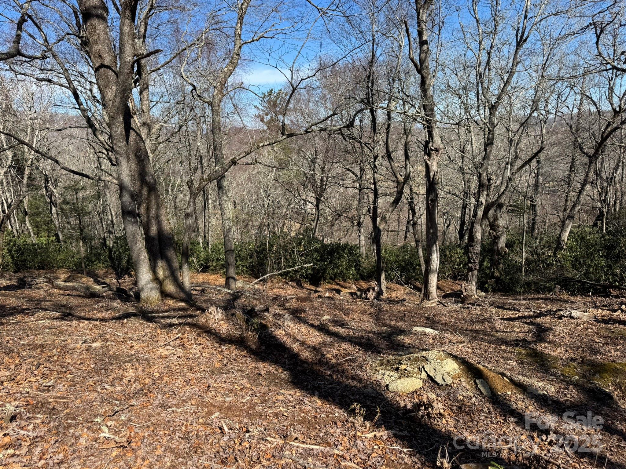 Lot 240 Thunder Wood Trail, Unit 240 Blowing Rock, NC 28605 - Photo 7 of 14 a view of a yard with trees