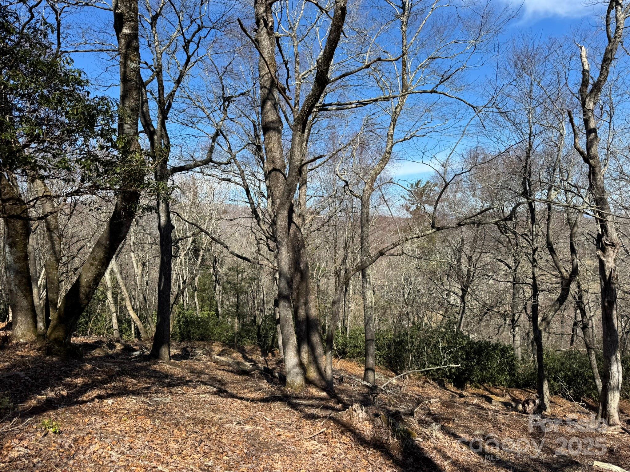 Lot 240 Thunder Wood Trail, Unit 240 Blowing Rock, NC 28605 - Photo 8 of 14 a view of backyard space