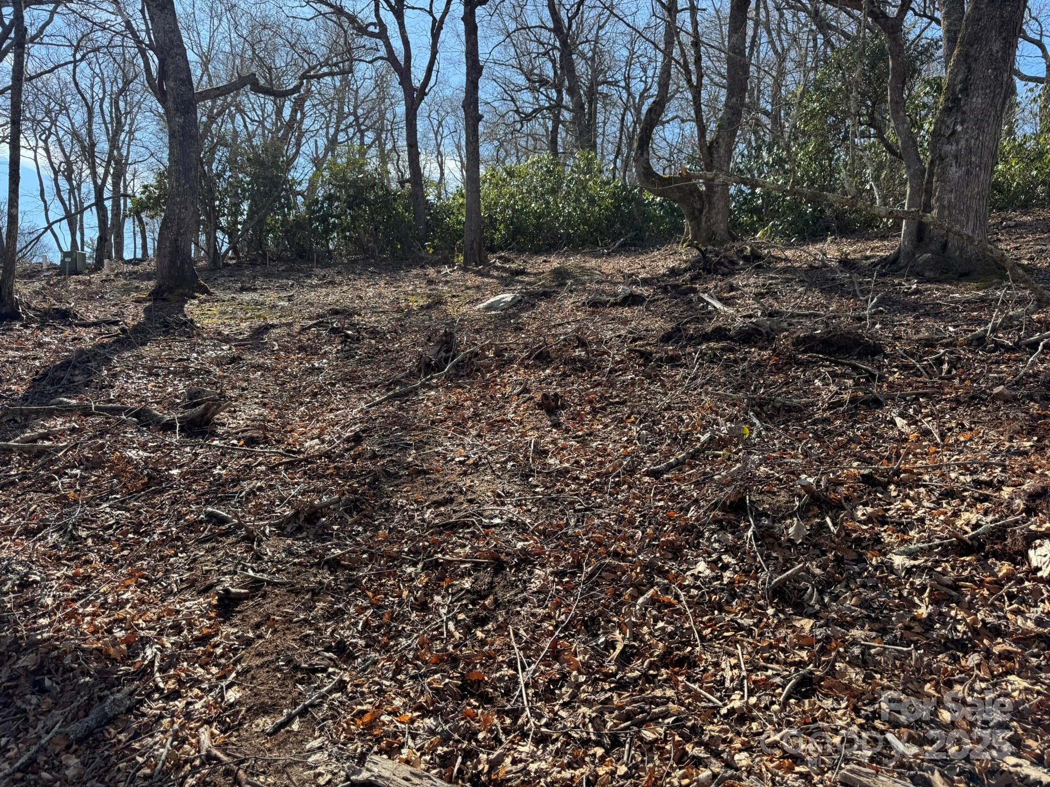 Lot 240 Thunder Wood Trail, Unit 240 Blowing Rock, NC 28605 - Photo 9 of 14 a view of a yard with plants