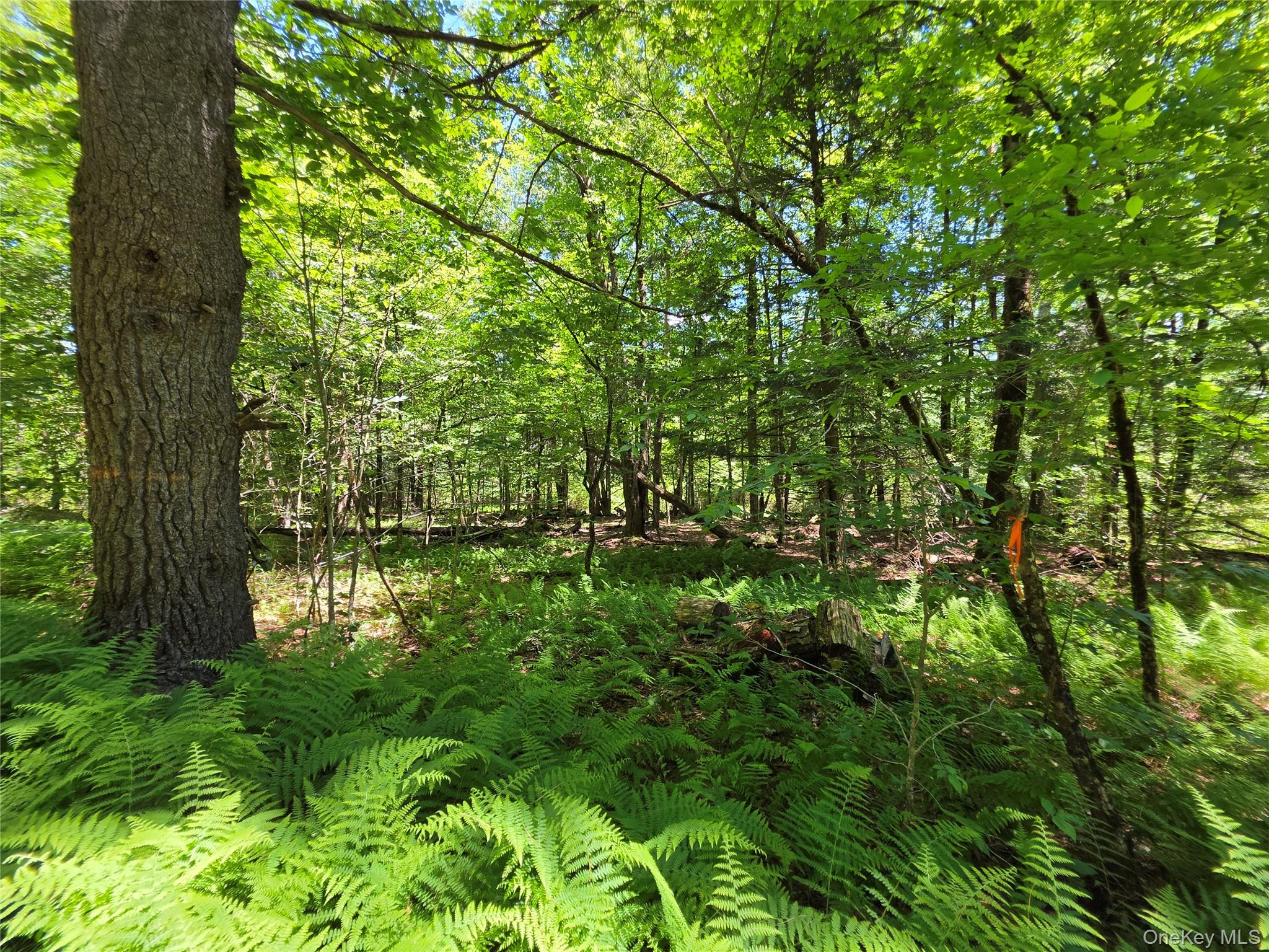 Tbd Camp Kennybrook Road Monticello, NY 12701 - Photo 14 of 34